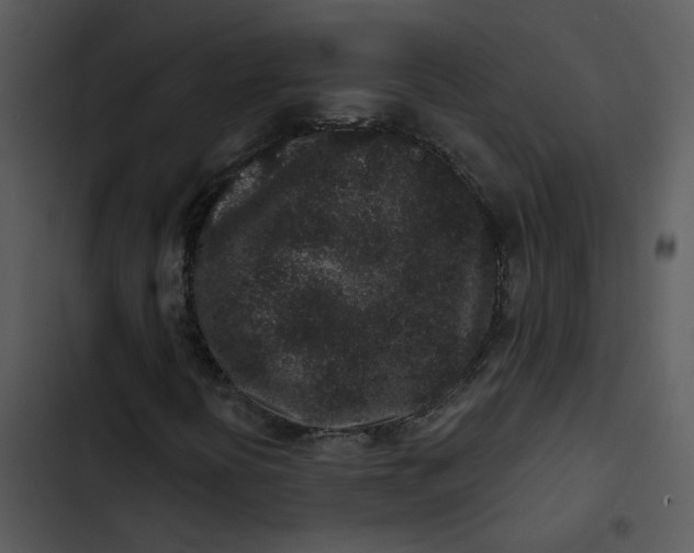 X0000102831394200809081144