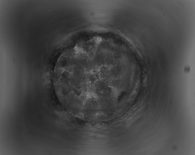 X0000102831397200809081144