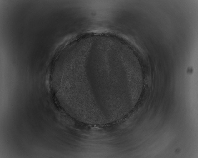 X0000102831398200809081144