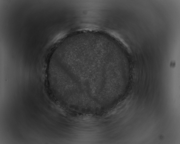 X0000102831399200809081144