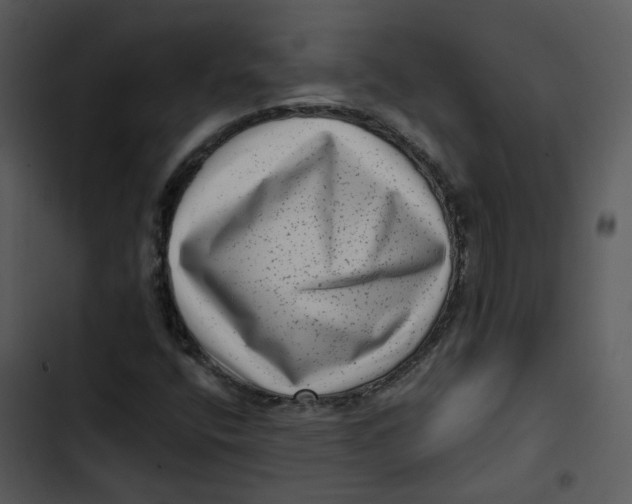 X0000102831400200809081144