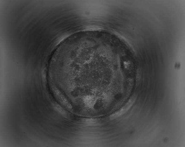 X0000102831401200809081144