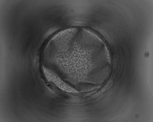 X0000102831402200809081144