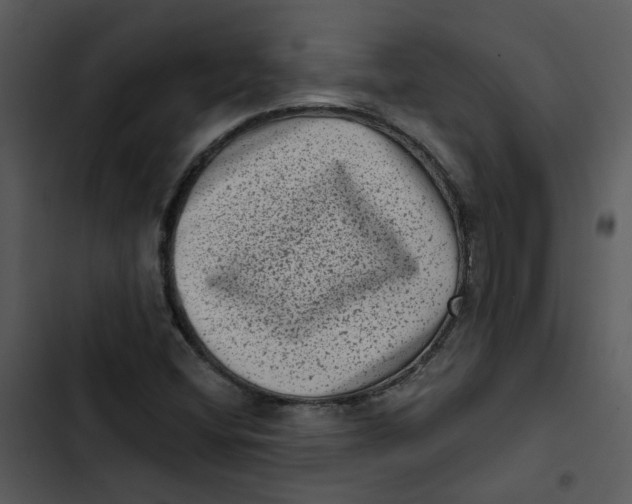 X0000102831404200809081144