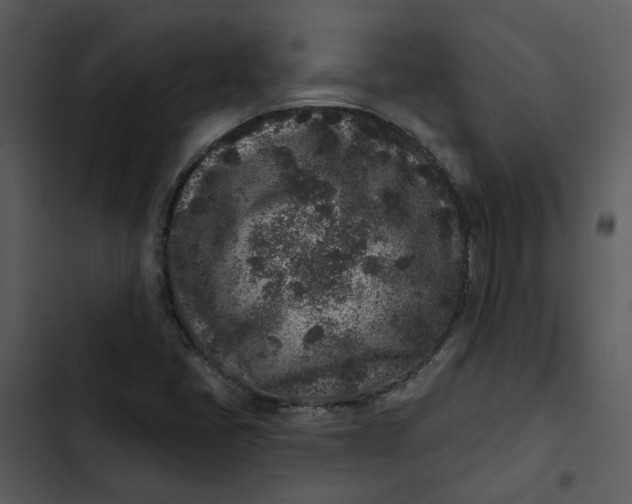 X0000102831405200809081144