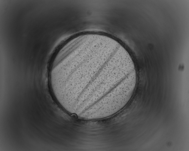 X0000102831408200809081144