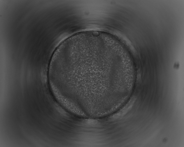 X0000102831409200809081144