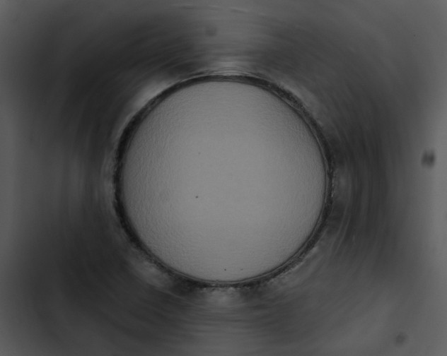 X0000102831410200809081144