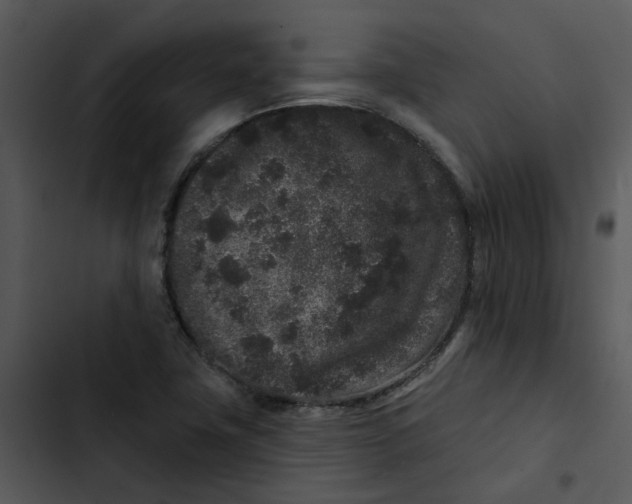 X0000102831411200809081144