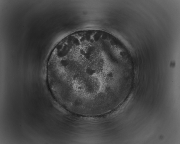 X0000102831413200809081144