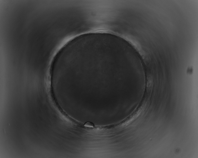 X0000102831414200809081144