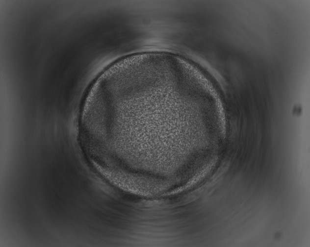 X0000102831415200809081144