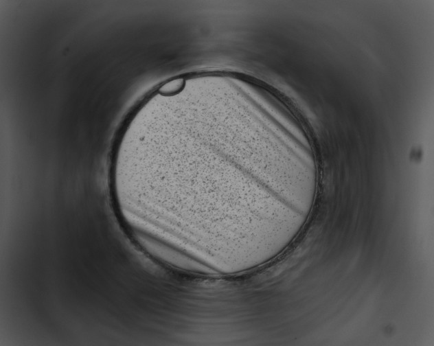 X0000102831416200809081144