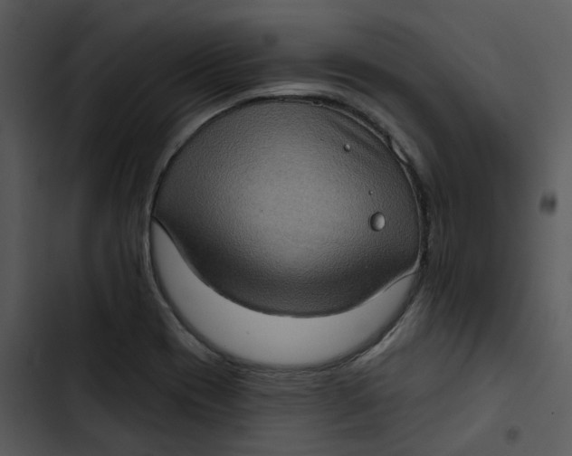 X0000102831417200809081144