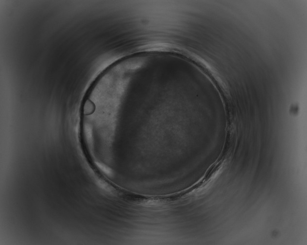 X0000102831418200809081144