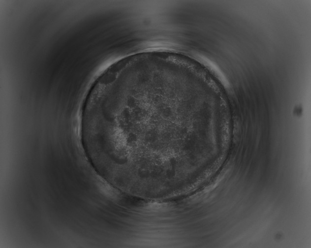 X0000102831419200809081144