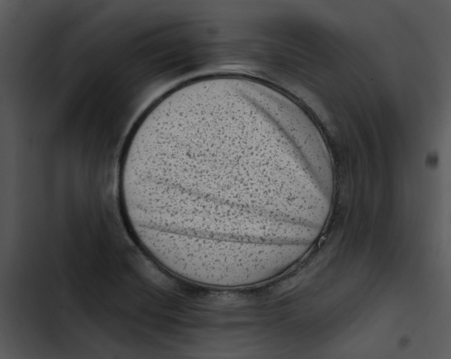 X0000102831420200809081144