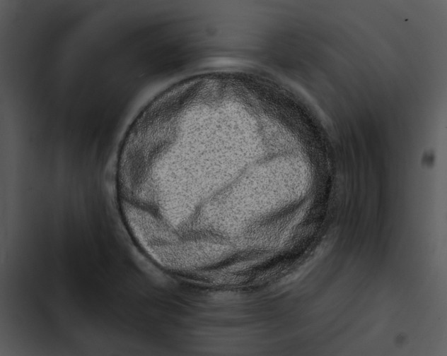 X0000102831421200809081144