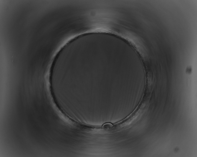 X0000102831422200809081144