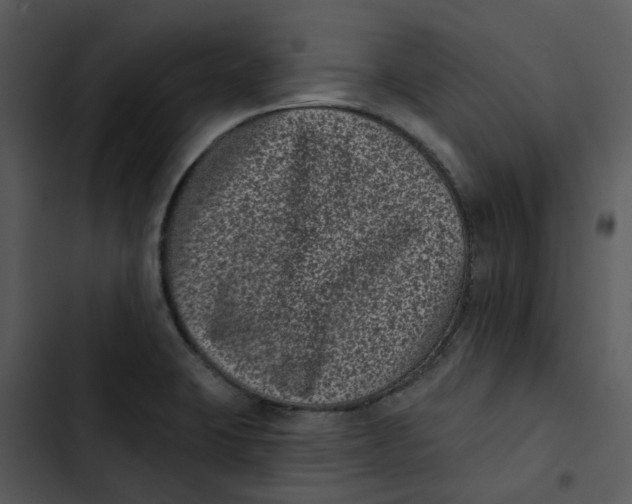 X0000102831423200809081144