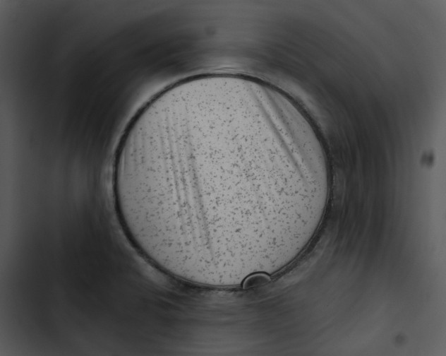 X0000102831424200809081145