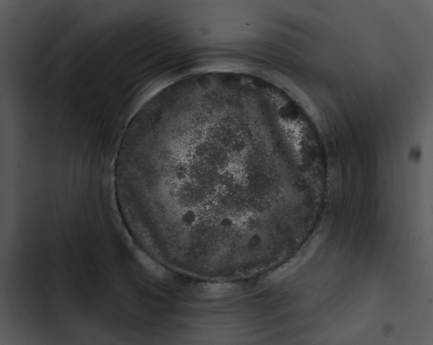 X0000102831425200809081145