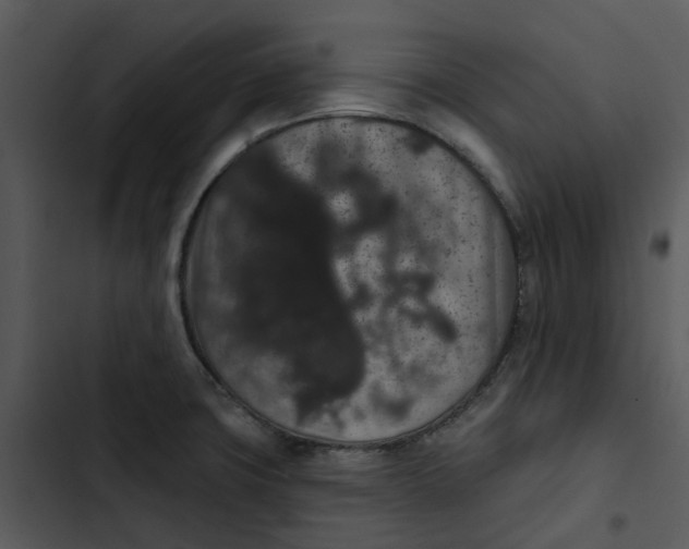 X0000102831427200809081145