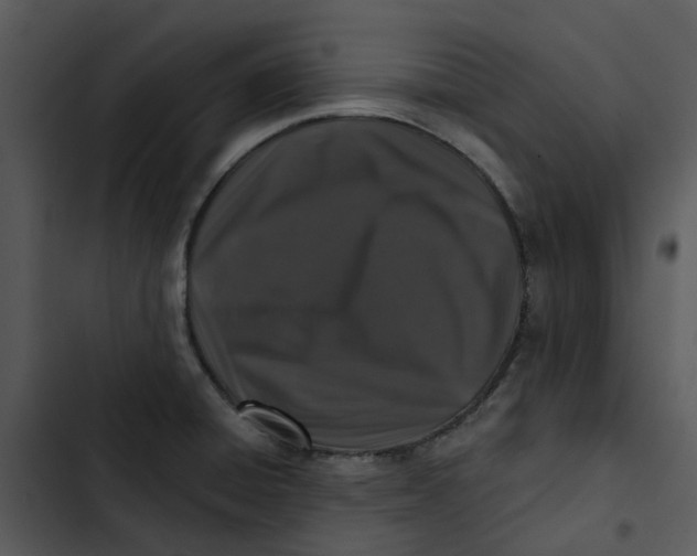 X0000102831428200809081145