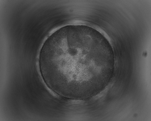 X0000102831429200809081145