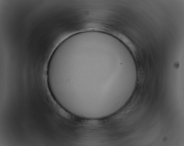 X0000102831431200809081145