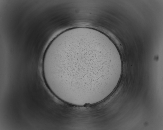 X0000102831432200809081145