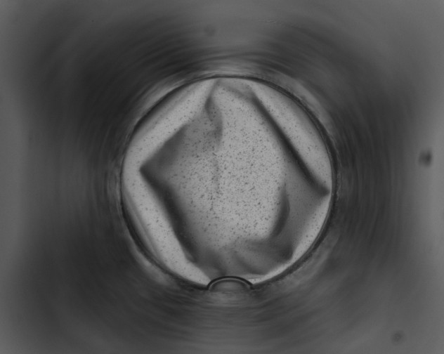 X0000102831433200809081145