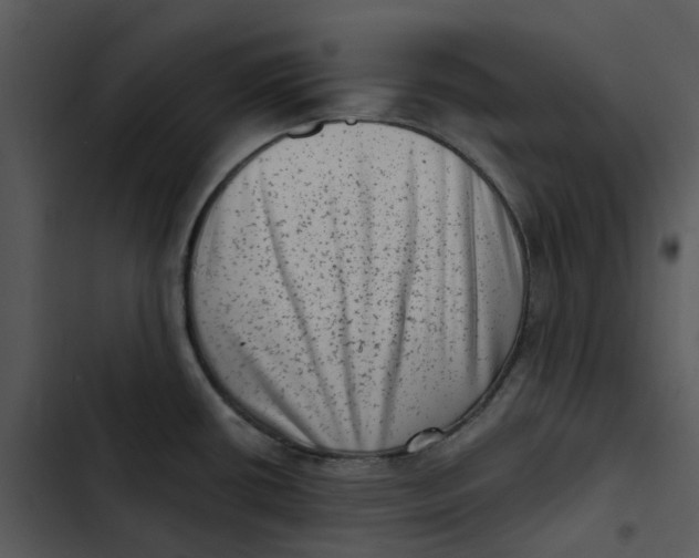 X0000102831434200809081145