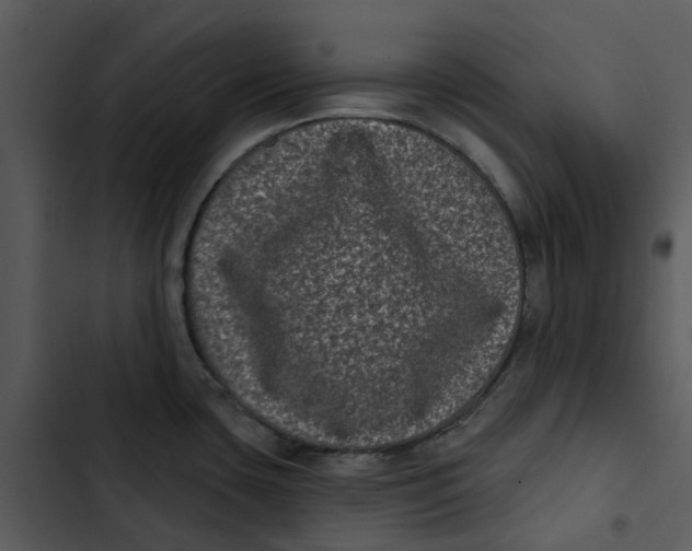 X0000102831435200809081145