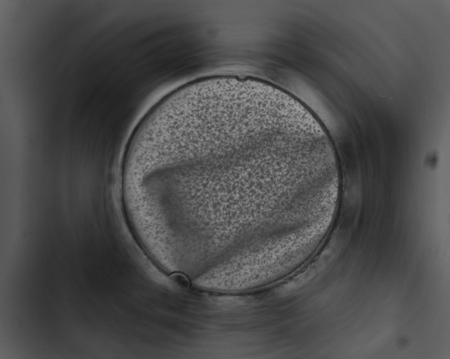 X0000102831436200809081145