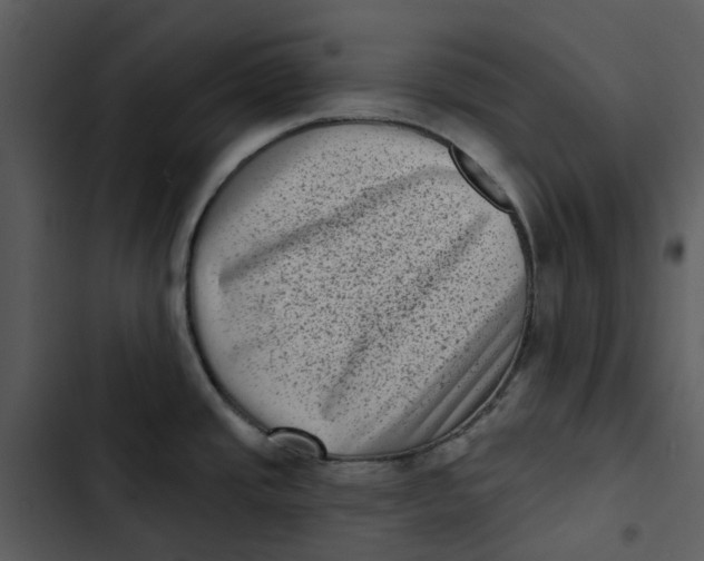 X0000102831437200809081145