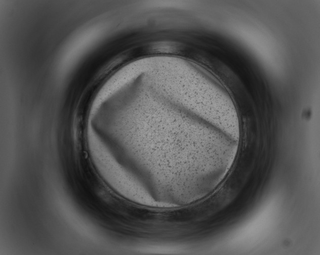 X0000102831438200809081145