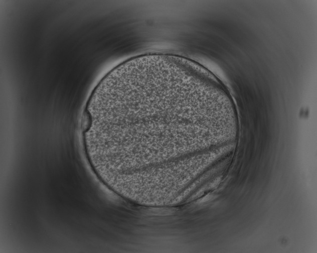 X0000102831440200809081145