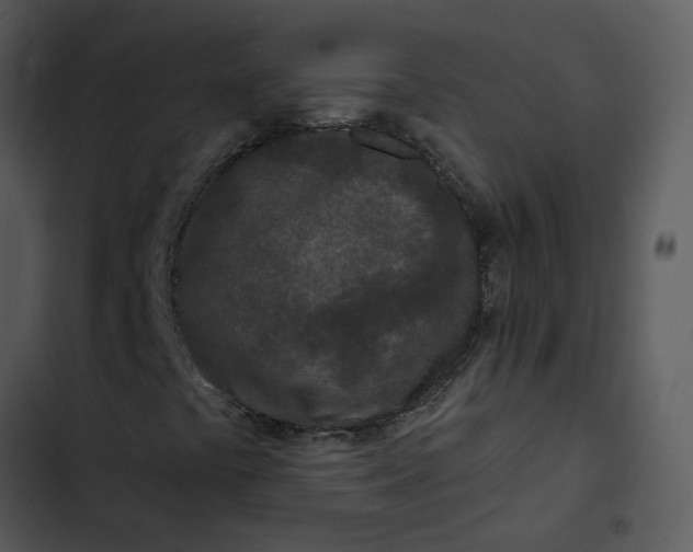 X0000102831441200809081144