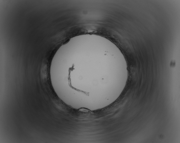 X0000102831442200809081144