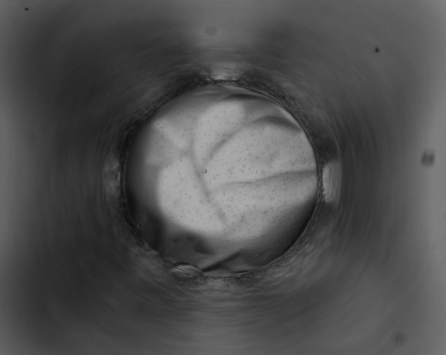 X0000102831443200809081144