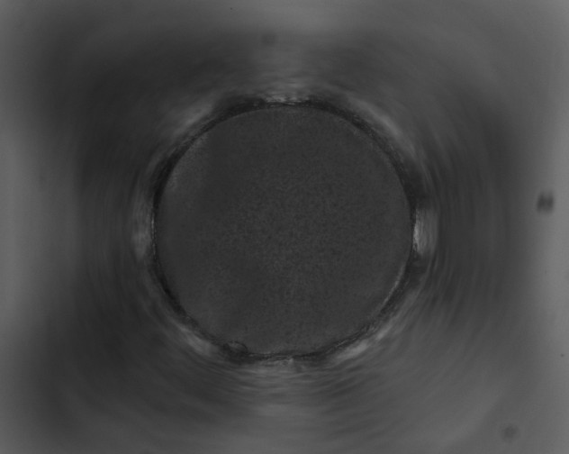 X0000102831444200809081144