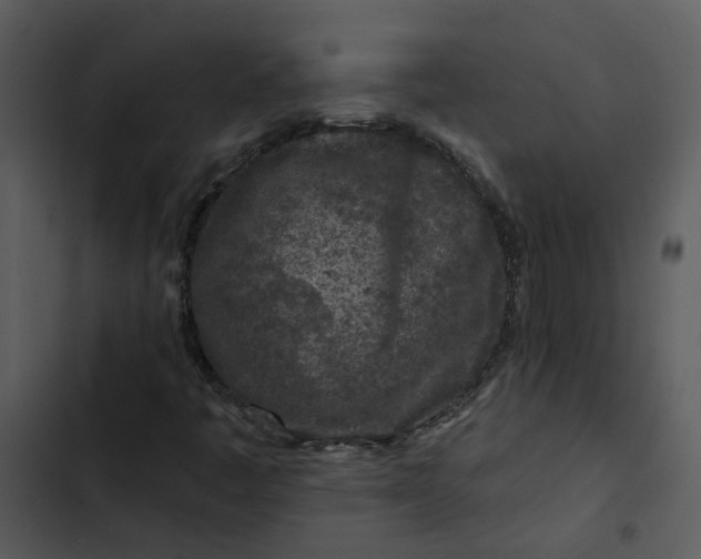 X0000102831445200809081144