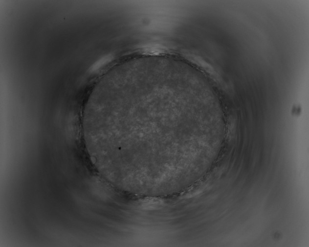 X0000102831446200809081144