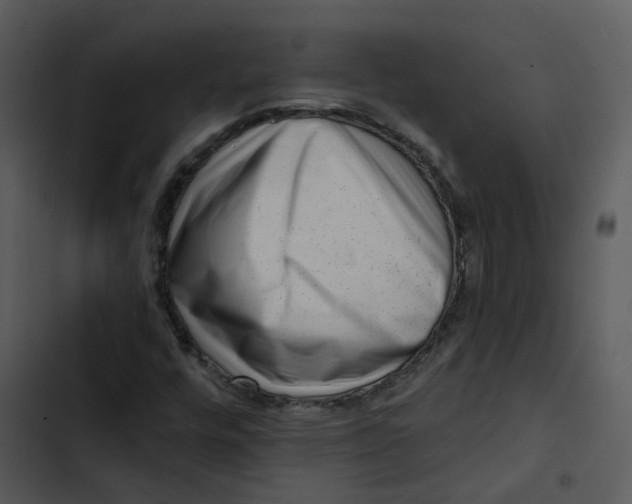 X0000102831448200809081144