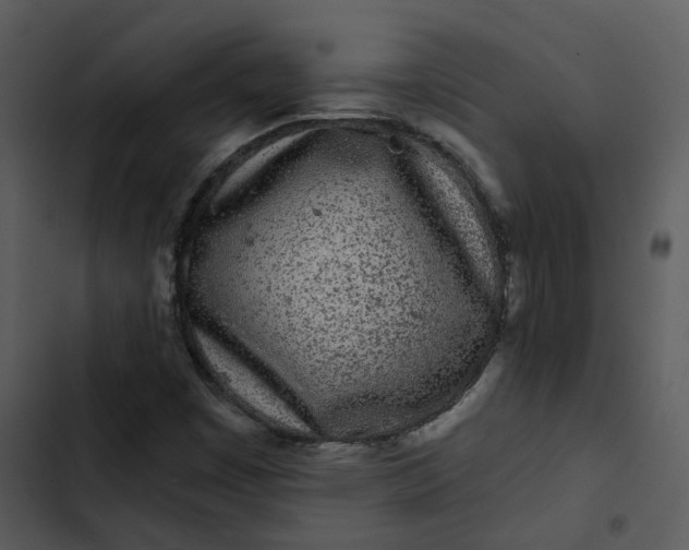 X0000102831449200809081144