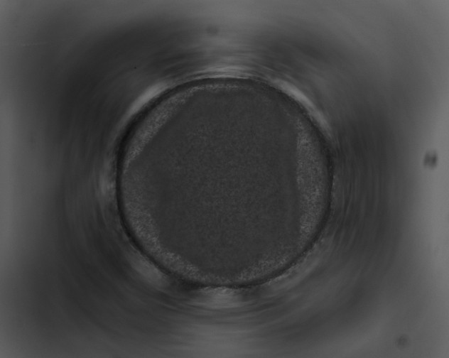 X0000102831450200809081144