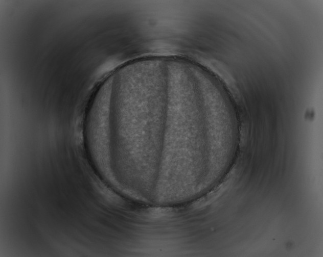 X0000102831451200809081144