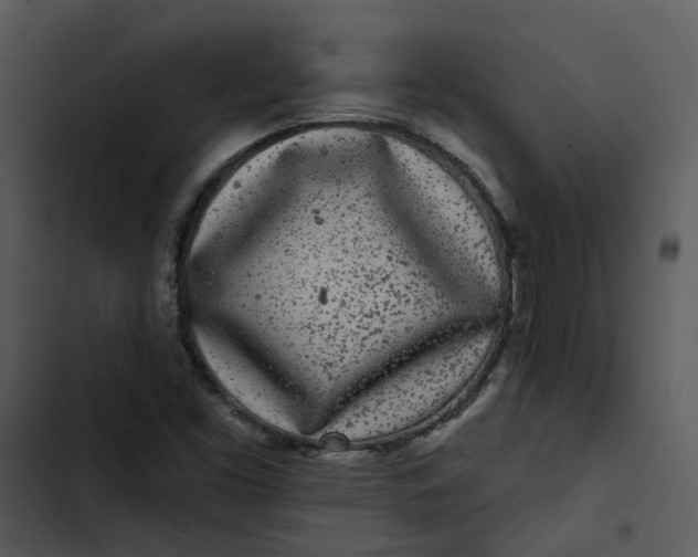 X0000102831453200809081144