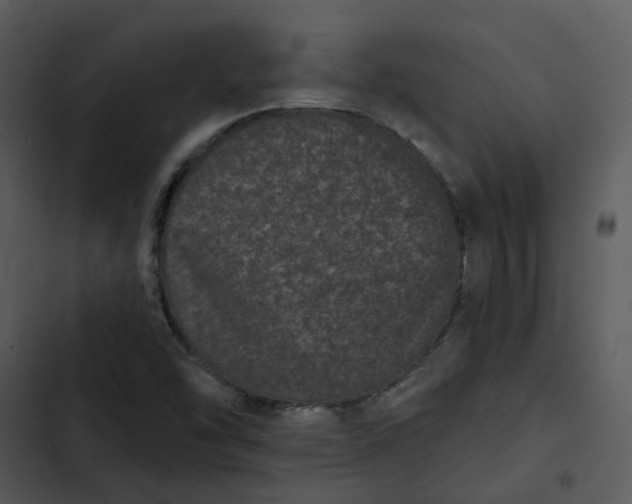 X0000102831454200809081144